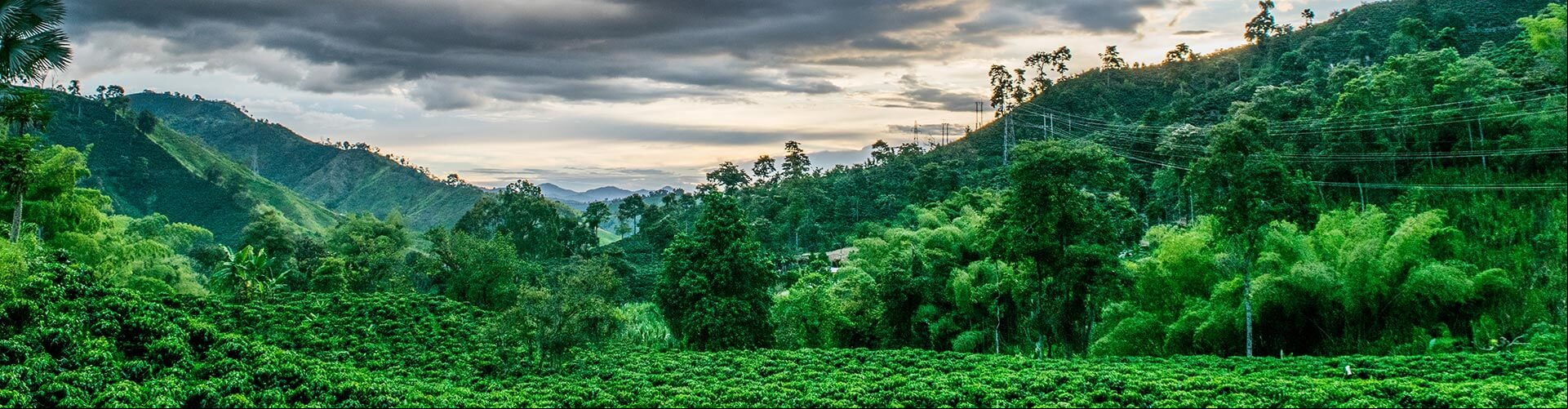 Imagem de ambiente natural